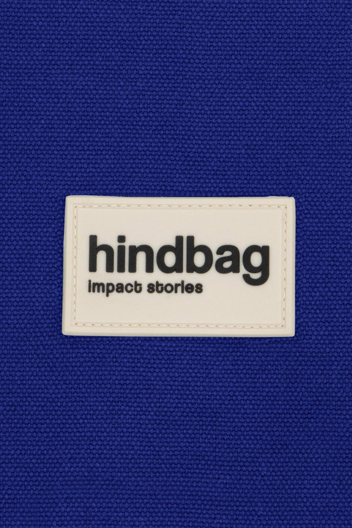 Igor Electric Blue Lunch Bag