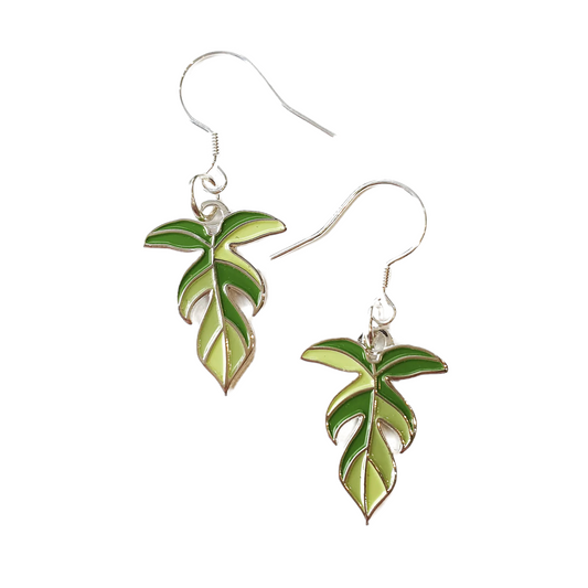 Florida Beauty Earrings