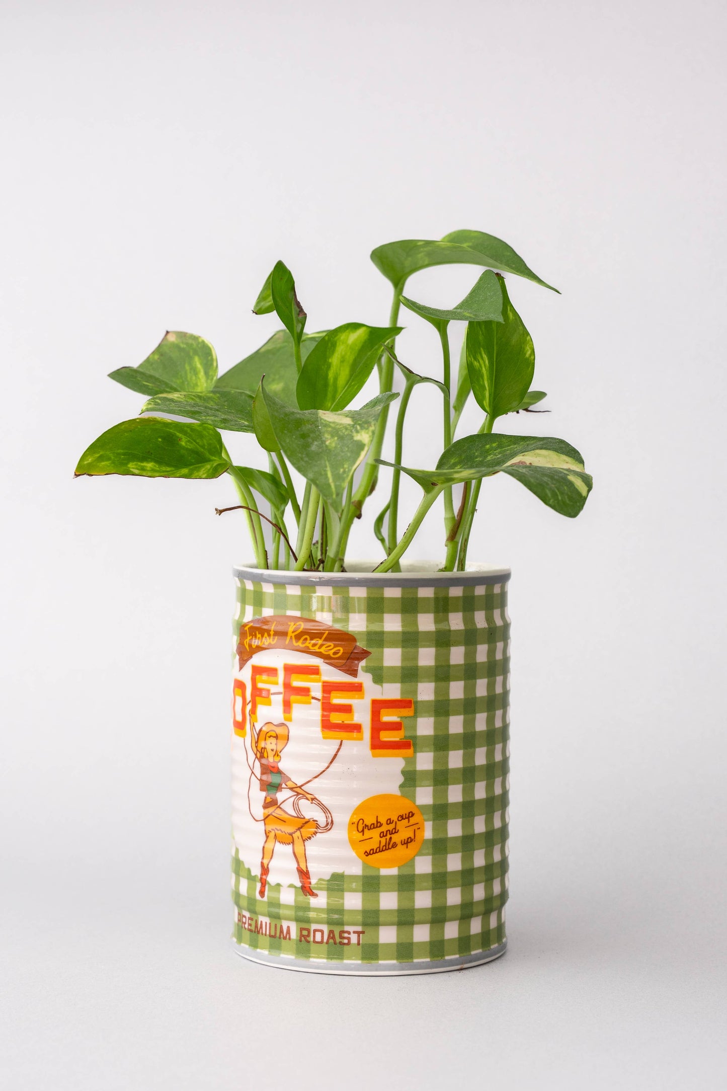 Coffee Can Planter