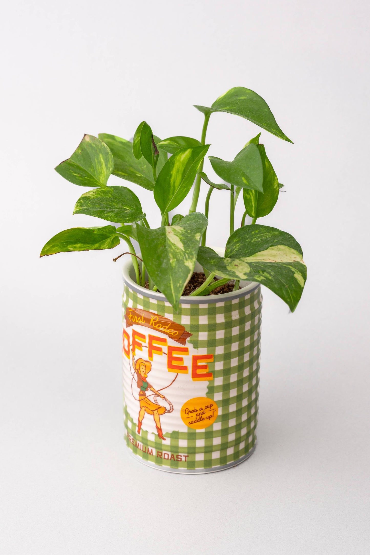 Coffee Can Planter