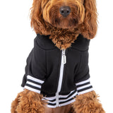 Black Dog Hoodie Jumper