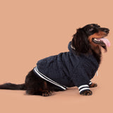 Navy Teddy Hoodie Dog Jumper