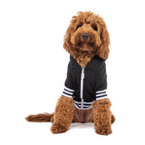 Black Dog Hoodie Jumper