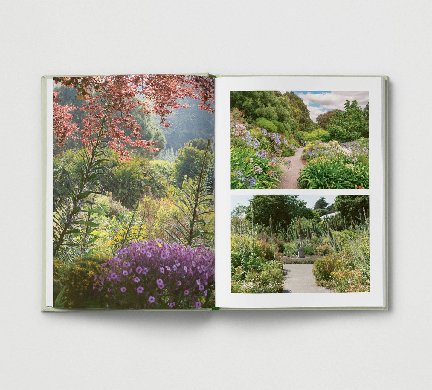 Britain's Best Gardens