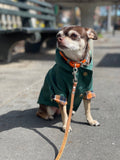 Dog Rain Jacket - Forest Green