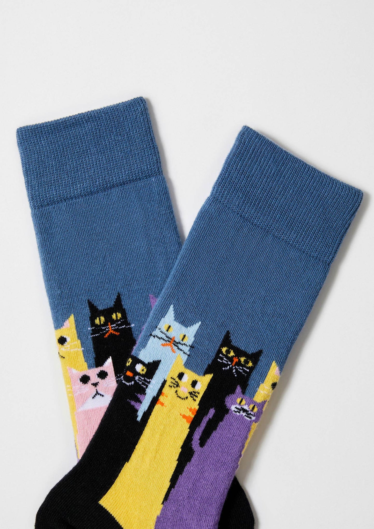BeCats Socks