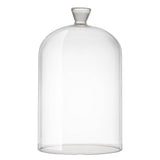 Glass Cloche