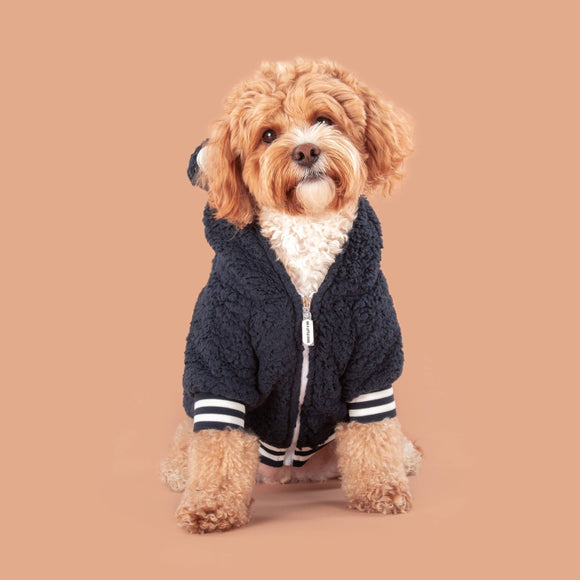 Navy Teddy Hoodie Dog Jumper