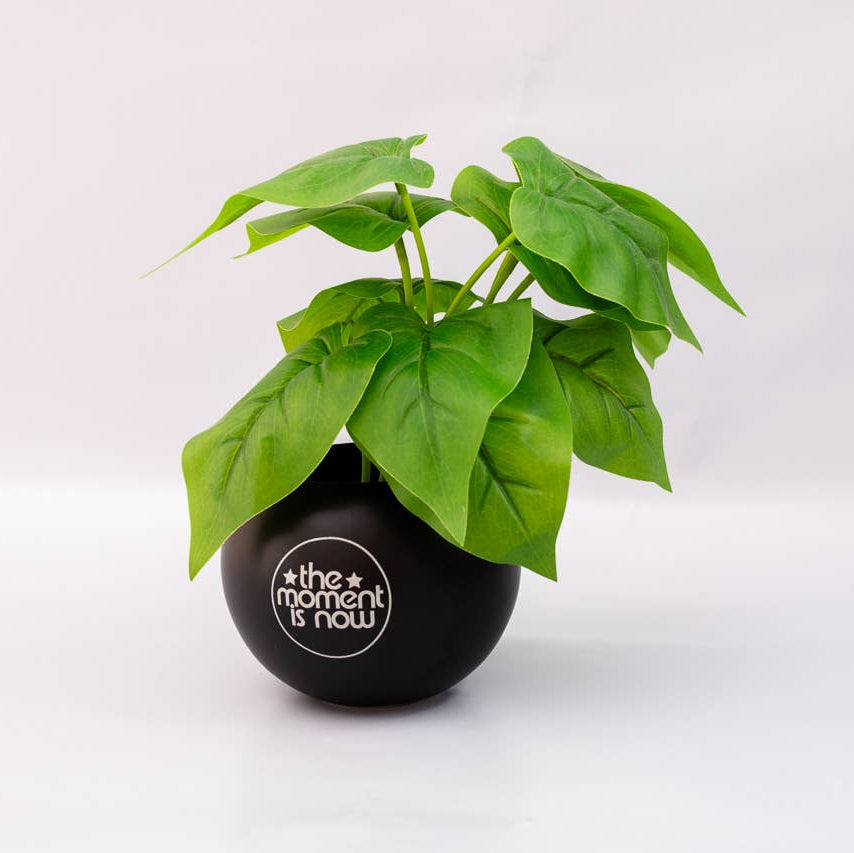 8-Ball Vase