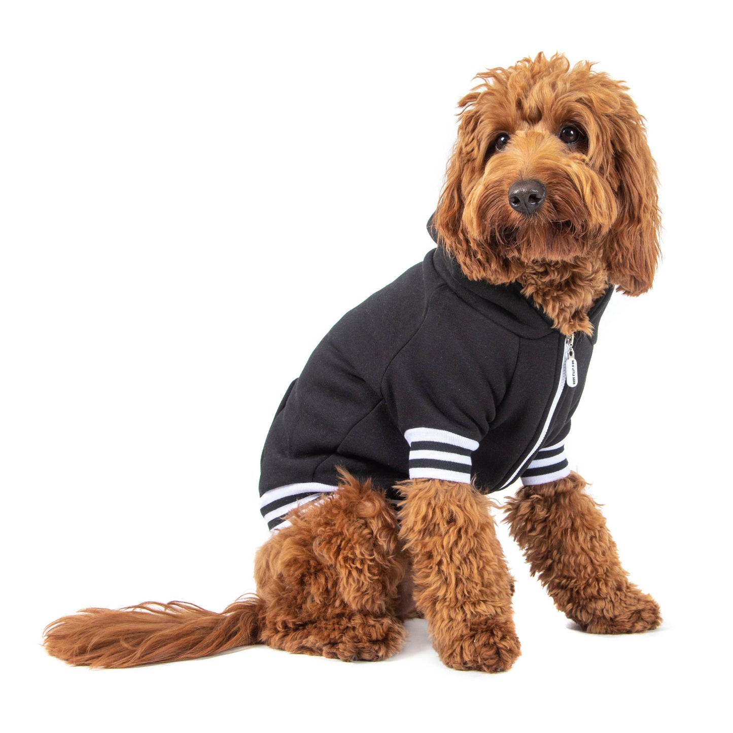 Black Dog Hoodie Jumper
