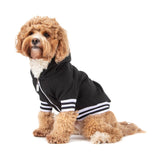 Black Dog Hoodie Jumper