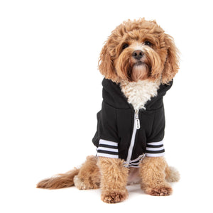 Black Dog Hoodie Jumper