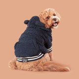 Navy Teddy Hoodie Dog Jumper