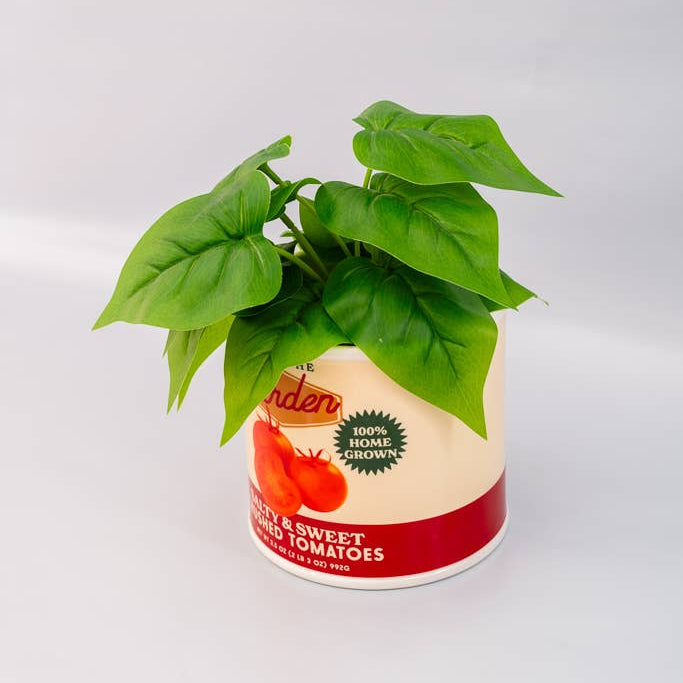 Tomato Can Planter
