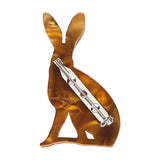 A Hare's Breadth Brooch