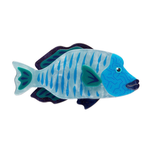 Maori Wrasse Brooch