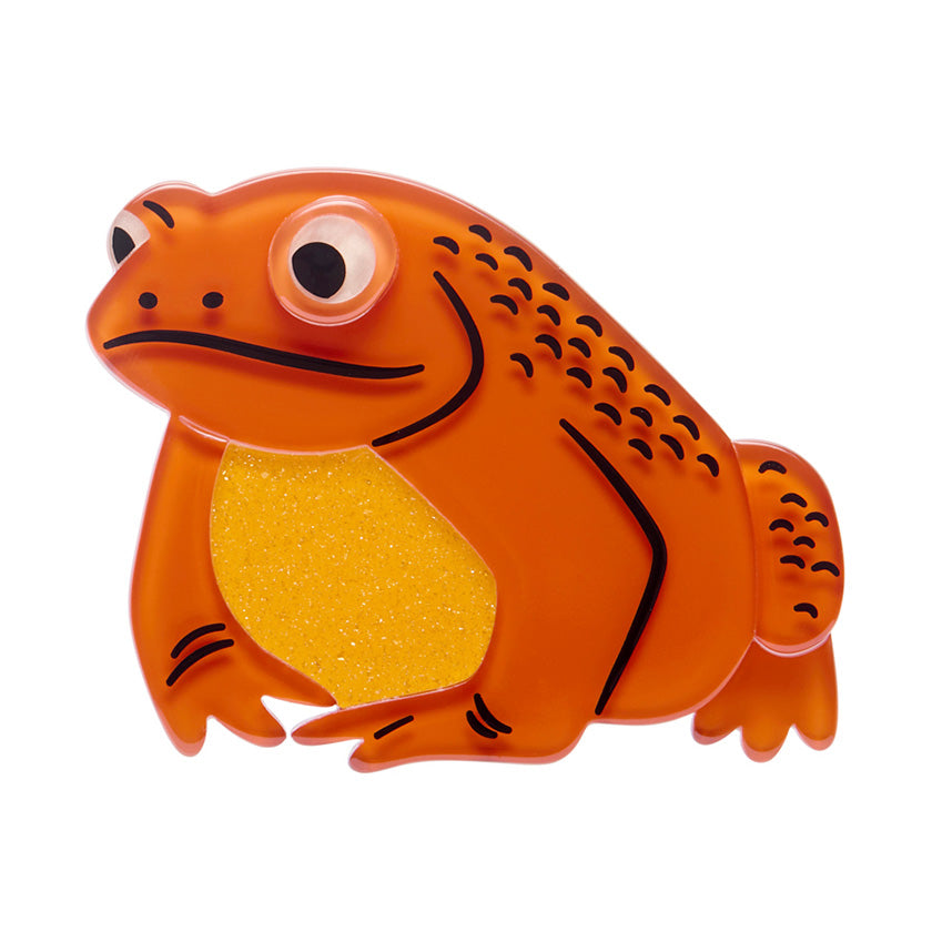 Warts & All Brooch