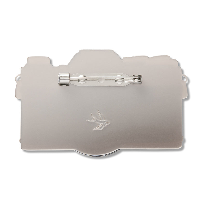 Picture Perfect Brooch