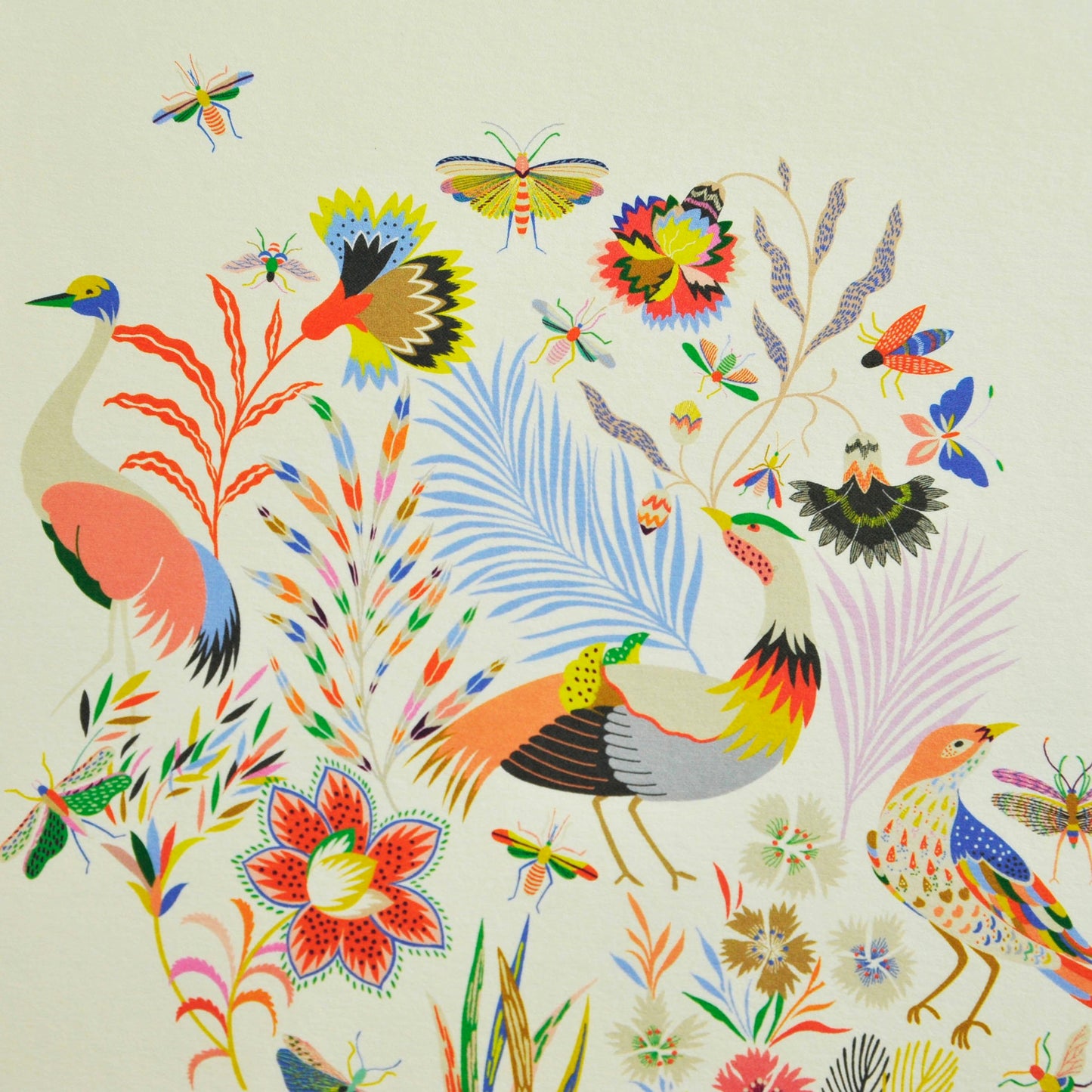 Birds in Wonderland Card