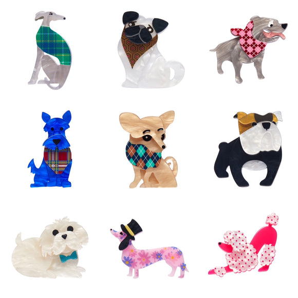 Dog Minis Collection Pack