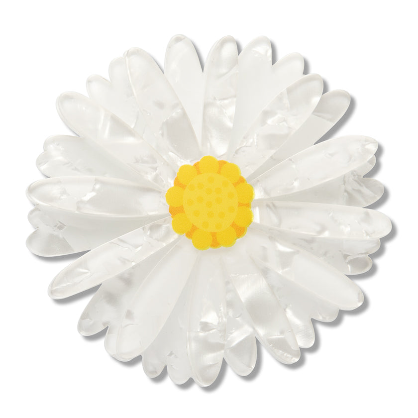 Cut-leaf Daisy Large Hair Clip – 1 Piece