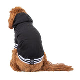 Black Dog Hoodie Jumper