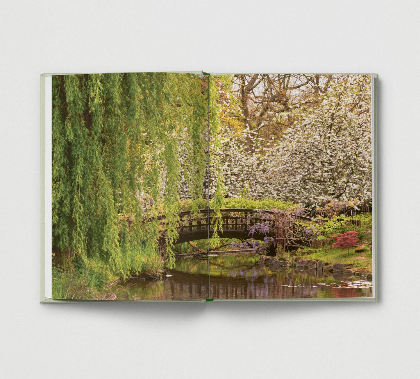 Britain's Best Gardens