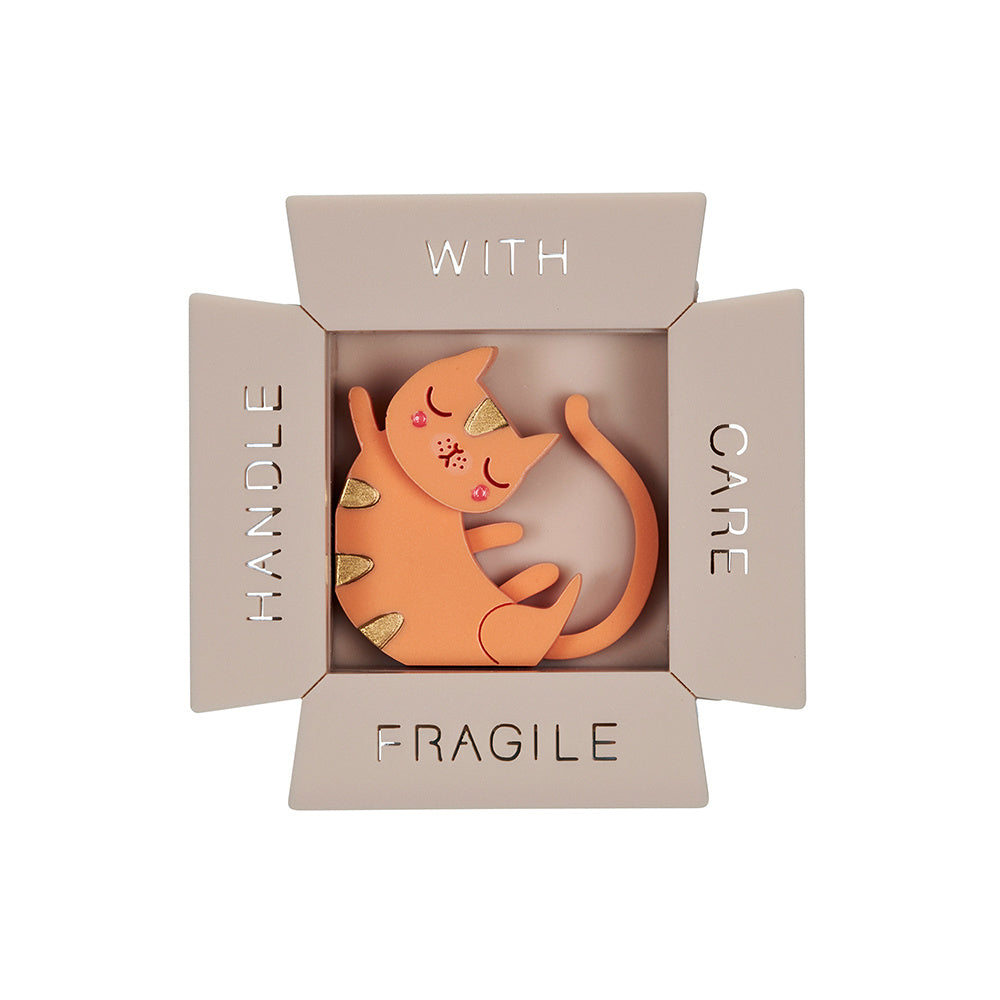 Cat In Box Brooch