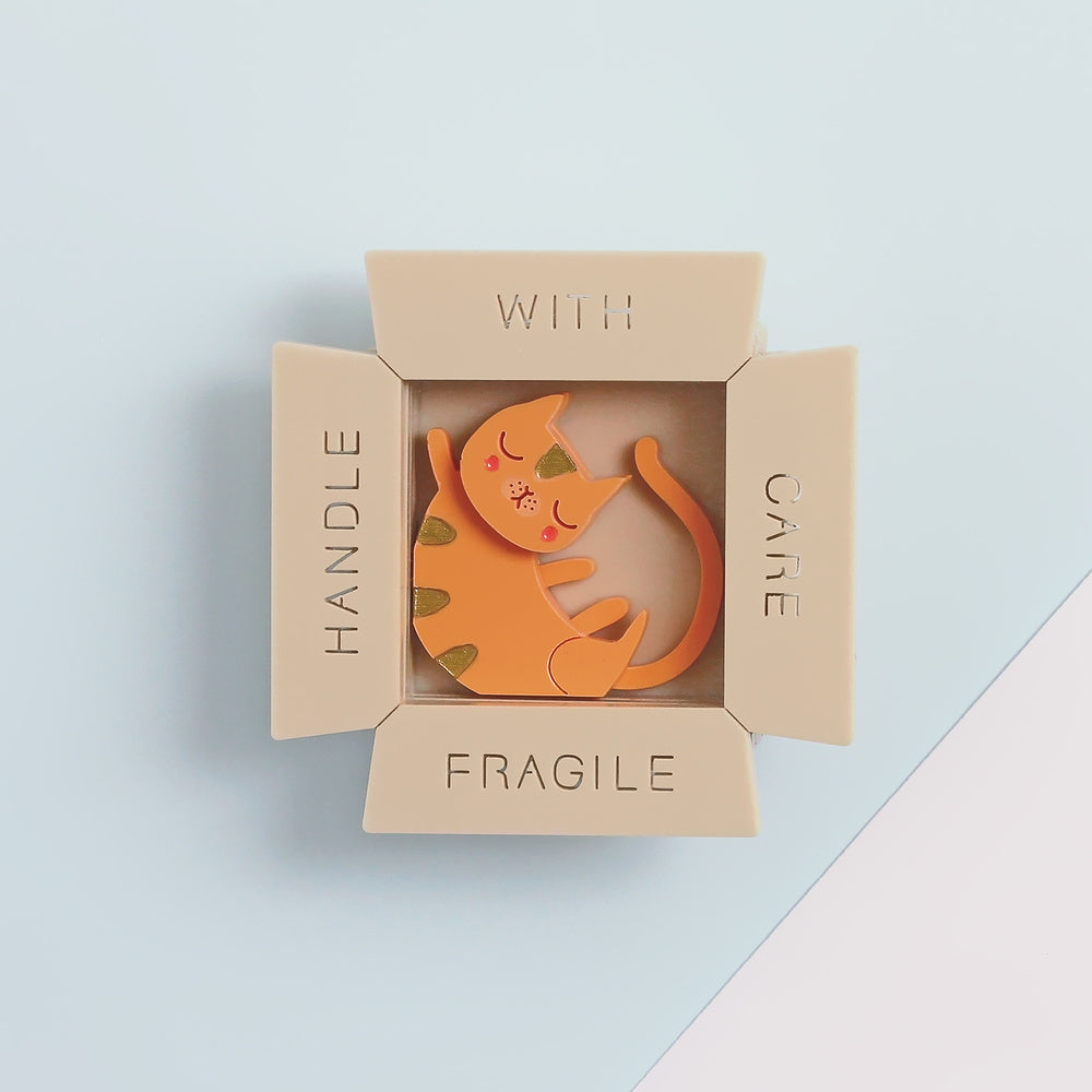 Cat In Box Brooch