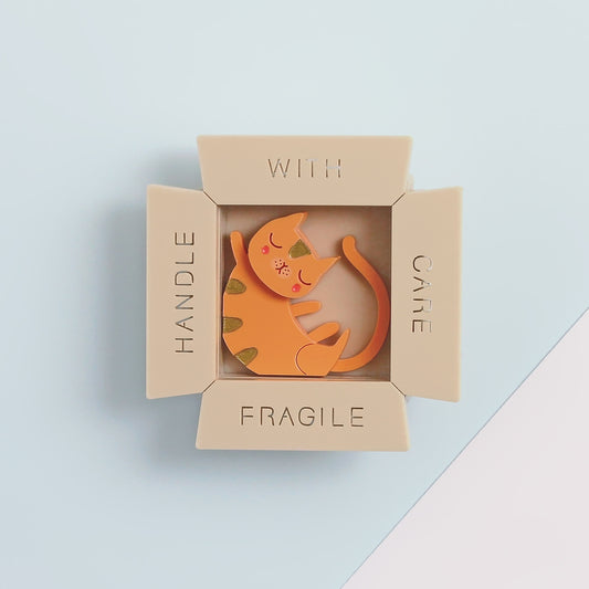 Cat In Box Brooch