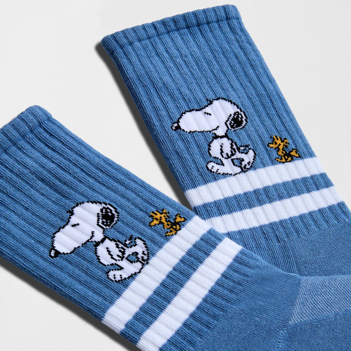 BeSnoopy Stripes Street Blue Socks