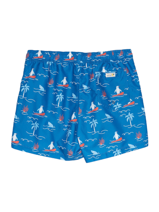 Hawaii Boardshorts