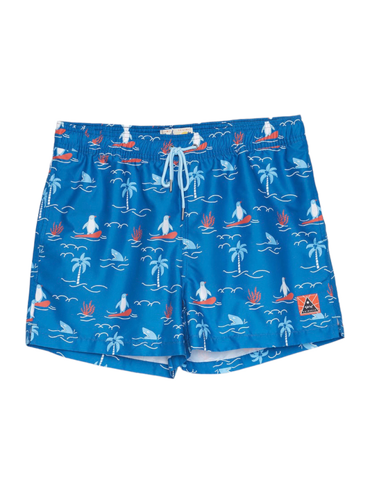 Hawaii Boardshorts