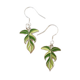 Florida Beauty Earrings